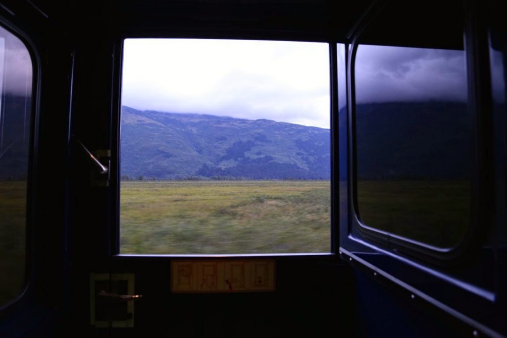 View from Alaskan railways train carriage