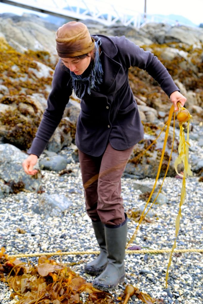 Hope Merritt seaweed forager, , Alaska pic: Kerstin Rodgers/msmarmitelover.com