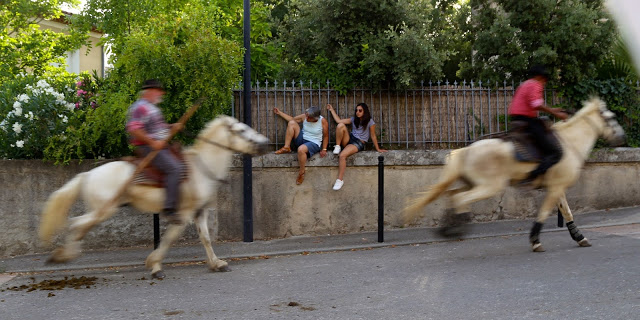 horsemen at the bull running south of France, languedoc
