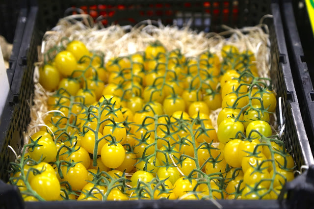 yellow tomatoes, Sète market, languedoc, france