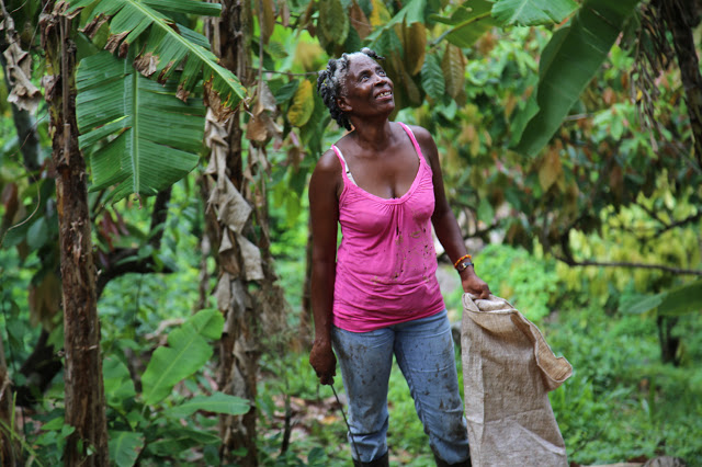 female cacao farmer, grenada