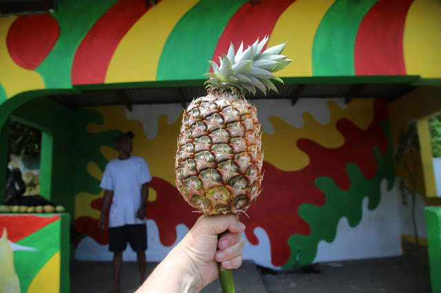 pineapple like a lollypop, grenada