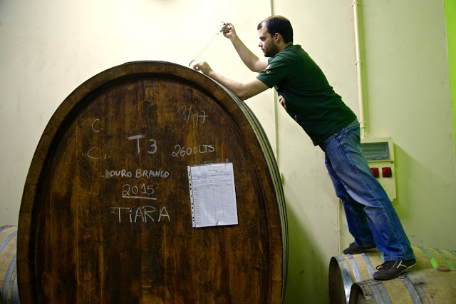 Carlos Raposo (winemaker), Niepoort, Portugal