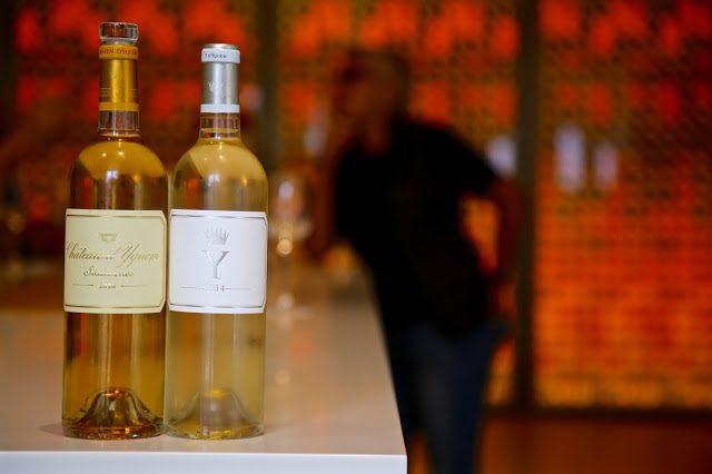 chateau yquem and the dry white Y wine