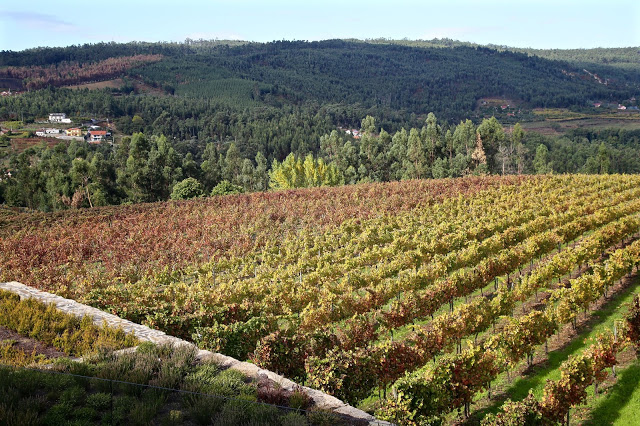 Quinta da lixa, vinho verde, portugal