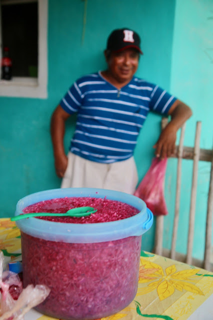 pink pickled onions,  holbox,yucatan, mexico