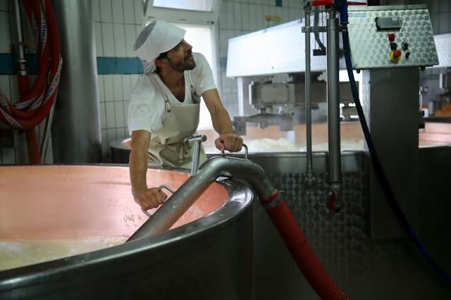 vacuuming out the milk to put into comté moulds, Fruitière, Franche-Comté