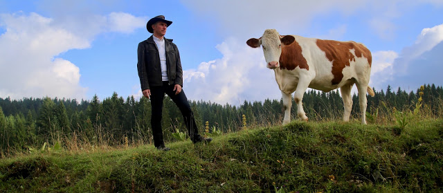 Tas the cowboy and dairy farmer with Montbeliarde cow, comté, Franche-comté