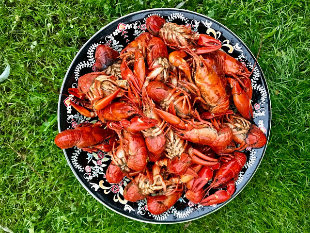 crayfish,  pure food camp, Skane, Sweden