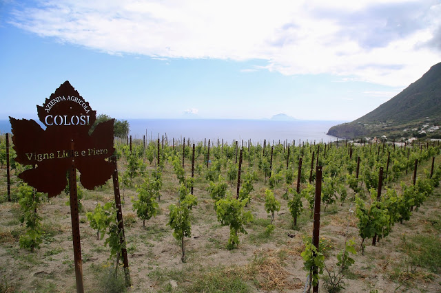 Colosi vineyard, Salina, Sicily