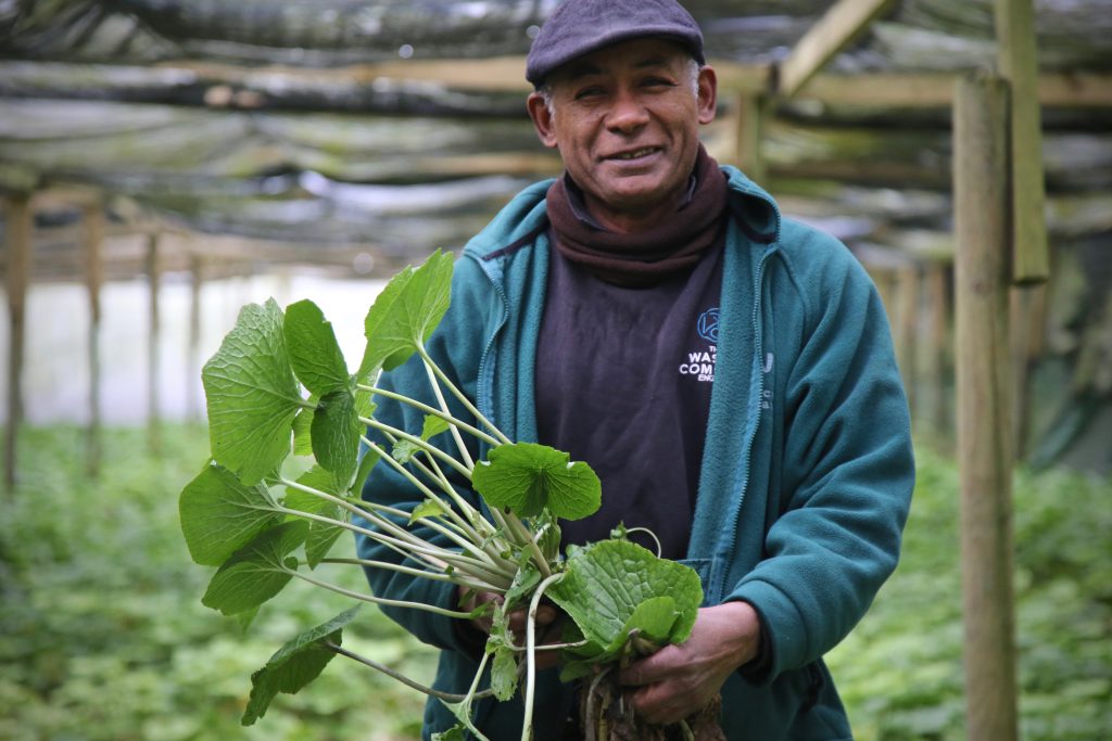 David Turton, wasabi farmer, winchester Pic:Kerstin Rodgers/msmarmitelover.com