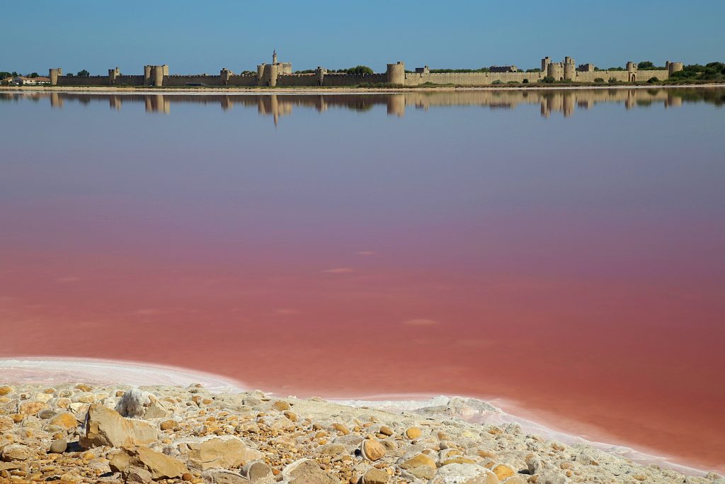 Pink lakes of the Camargue pix: Kerstin Rodgers/msmarmitelover.com