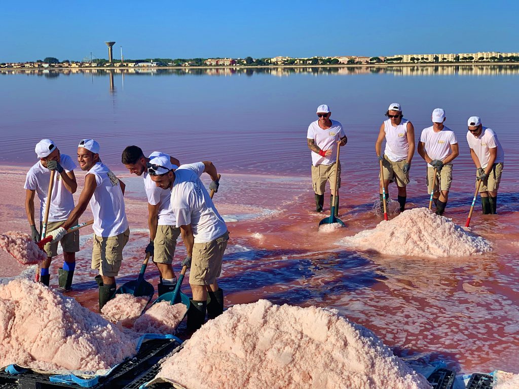 sauniers harvesting salt in the Camargue, la Baleine, France pix: Kerstin Rodgers/msmarmitelover.com